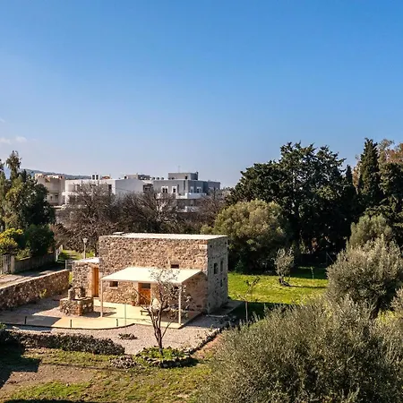 Апартаменти Olivetta ,traditional Stone House Кос